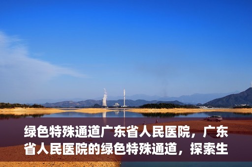 绿色特殊通道广东省人民医院，广东省人民医院的绿色特殊通道，探索生命的新路径