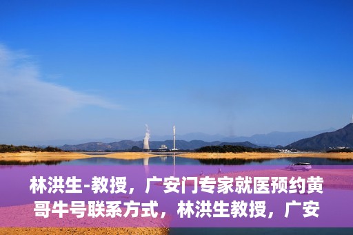 林洪生-教授，广安门专家就医预约黄哥牛号联系方式，林洪生教授，广安门就医预约专家，联系方式及专业预约黄哥牛号揭秘