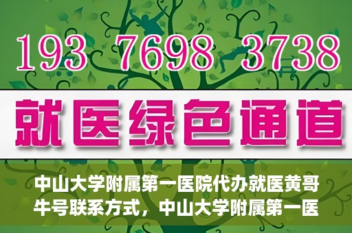 中山大学附属第一医院代办就医黄哥牛号联系方式，中山大学附属第一医院就医黄哥牛号代办服务联系方式揭秘