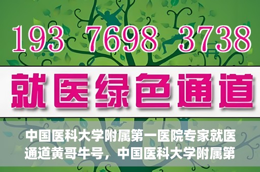 中国医科大学附属第一医院专家就医通道黄哥牛号，中国医科大学附属第一医院专家就医通道揭秘，黄哥牛号引领就医新风尚