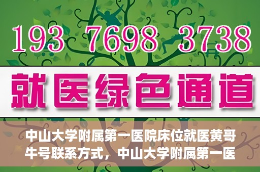 中山大学附属第一医院床位就医黄哥牛号联系方式，中山大学附属第一医院床位就医攻略，黄哥牛号联系方式揭秘