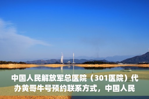 中国人民解放军总医院（301医院）代办黄哥牛号预约联系方式，中国人民解放军总医院（301医院）黄哥牛号预约联系方式全解析