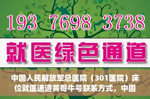 中国人民解放军总医院（301医院）床位就医通道黄哥牛号联系方式，中国人民解放军总医院（301医院）床位就医通道详解，黄哥牛号联系方式及就医指南