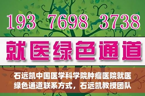 石远凯中国医学科学院肿瘤医院就医绿色通道联系方式，石远凯教授团队就医绿色通道联系方式——中国医学科学院肿瘤医院就医指南
