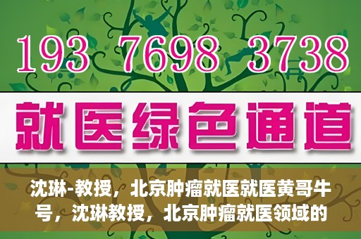 沈琳-教授，北京肿瘤就医就医黄哥牛号，沈琳教授，北京肿瘤就医领域的权威解读与黄哥牛号就医指南