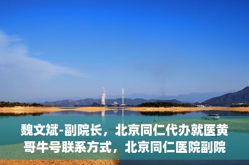魏文斌-副院长，北京同仁代办就医黄哥牛号联系方式，北京同仁医院副院长魏文斌与就医黄哥，牛号联系方式背后的故事