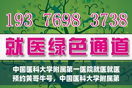 中国医科大学附属第一医院就医就医预约黄哥牛号，中国医科大学附属第一医院就医预约黄哥牛号，一站式便捷医疗体验新选择