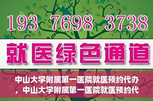 中山大学附属第一医院就医预约代办，中山大学附属第一医院就医预约代办服务详解