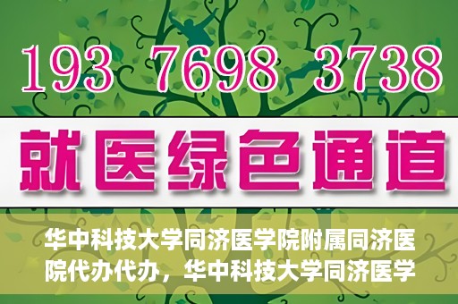 华中科技大学同济医学院附属同济医院代办代办，华中科技大学同济医学院附属同济医院代办服务详解