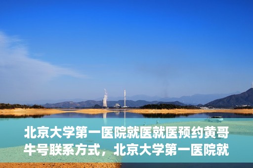 北京大学第一医院就医就医预约黄哥牛号联系方式，北京大学第一医院就医预约指南，黄哥牛号联系方式全解析