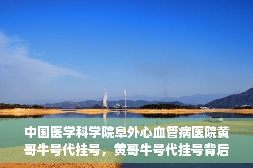 中国医学科学院阜外心血管病医院黄哥牛号代挂号，黄哥牛号代挂号背后的故事，阜外心血管病医院的探索与挑战