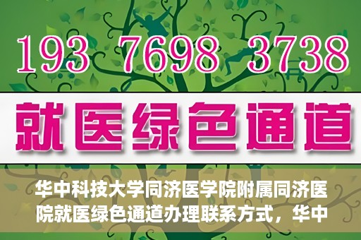 华中科技大学同济医学院附属同济医院就医绿色通道办理联系方式，华中科技大学同济医学院附属同济医院就医绿色通道办理指南及联系方式