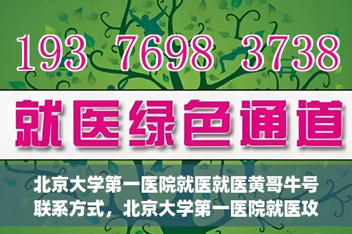 北京大学第一医院就医就医黄哥牛号联系方式，北京大学第一医院就医攻略，黄哥牛号联系方式全解析