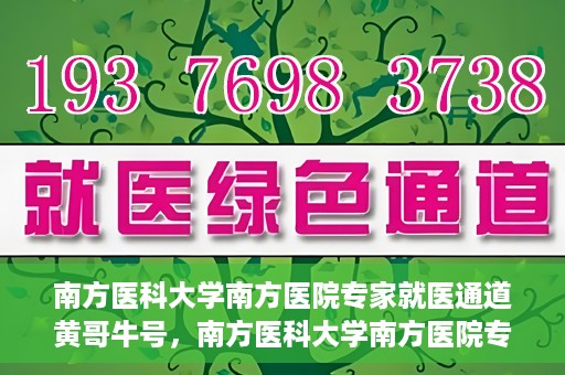 南方医科大学南方医院专家就医通道黄哥牛号，南方医科大学南方医院专家就医通道揭秘，黄哥牛号引领健康之路