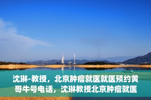 沈琳-教授，北京肿瘤就医就医预约黄哥牛号电话，沈琳教授北京肿瘤就医预约热线揭秘，黄哥牛号电话助您轻松挂号就医
