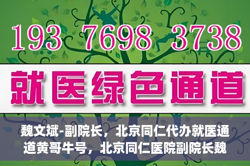 魏文斌-副院长，北京同仁代办就医通道黄哥牛号，北京同仁医院副院长魏文斌揭秘就医通道，黄哥牛号助力患者便捷就医体验
