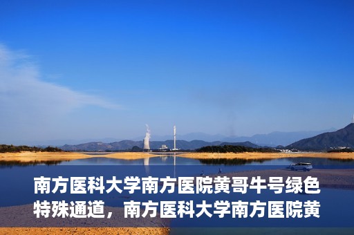 南方医科大学南方医院黄哥牛号绿色特殊通道，南方医科大学南方医院黄哥牛号，绿色特殊通道开启健康之门