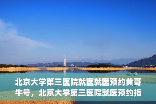 北京大学第三医院就医就医预约黄哥牛号，北京大学第三医院就医预约指南，黄哥牛号助您轻松挂号就医