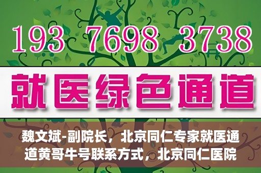 魏文斌-副院长，北京同仁专家就医通道黄哥牛号联系方式，北京同仁医院副院长魏文斌与专家就医通道，黄哥牛号联系方式揭秘