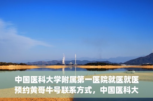 中国医科大学附属第一医院就医就医预约黄哥牛号联系方式，中国医科大学附属第一医院就医预约指南，黄哥牛号联系方式揭秘