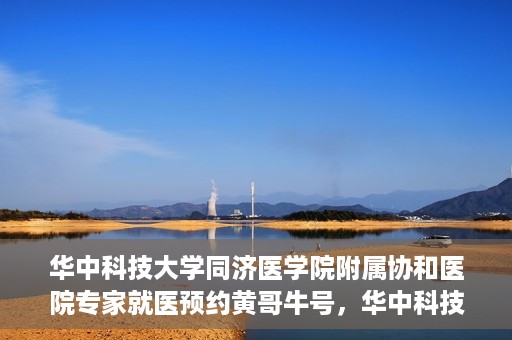 华中科技大学同济医学院附属协和医院专家就医预约黄哥牛号，华中科技大学同济医学院附属协和医院专家就医预约系统，黄哥牛号助您轻松预约专家号