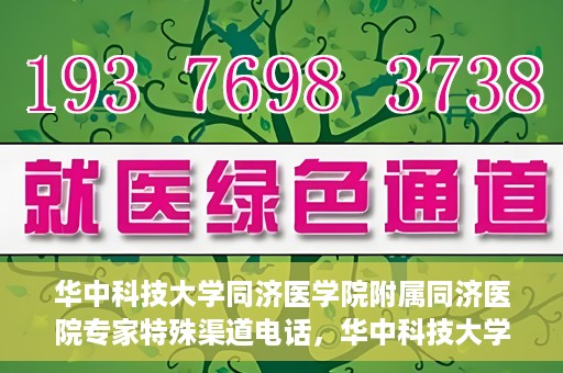 华中科技大学同济医学院附属同济医院专家特殊渠道电话，华中科技大学同济医院专家特殊渠道电话专线揭秘