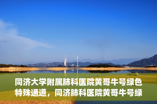 同济大学附属肺科医院黄哥牛号绿色特殊通道，同济肺科医院黄哥牛号绿色特殊通道揭秘