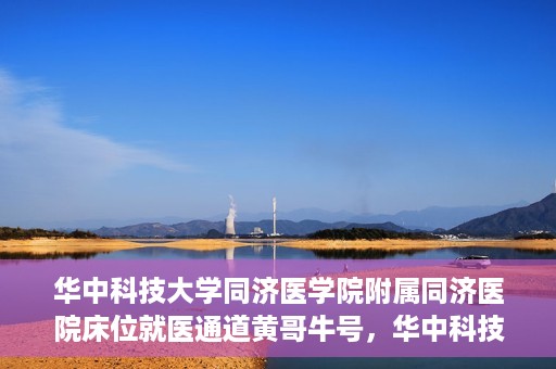 华中科技大学同济医学院附属同济医院床位就医通道黄哥牛号，华中科技大学同济医院床位就医通道，黄哥牛号助您轻松就医
