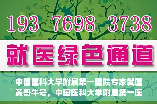 中国医科大学附属第一医院专家就医黄哥牛号，中国医科大学附属第一医院专家黄哥牛号解析就医攻略