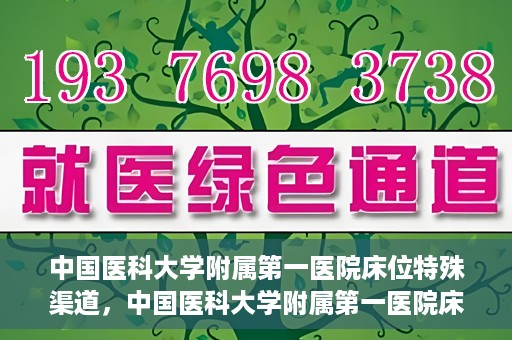 中国医科大学附属第一医院床位特殊渠道，中国医科大学附属第一医院床位特殊预约渠道揭秘