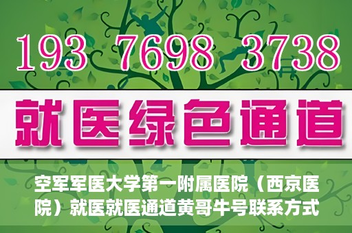 空军军医大学第一附属医院（西京医院）就医就医通道黄哥牛号联系方式，空军军医大学第一附属医院（西京医院）就医通道详解，黄哥牛号联系方式揭秘！