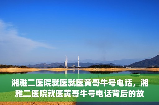 湘雅二医院就医就医黄哥牛号电话，湘雅二医院就医黄哥牛号电话背后的故事，揭秘就医新途径的神秘力量
