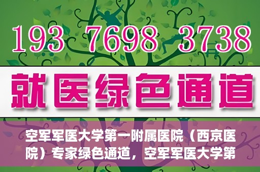 空军军医大学第一附属医院（西京医院）专家绿色通道，空军军医大学第一附属医院（西京医院）专家绿色通道，专业医疗服务的快速通道