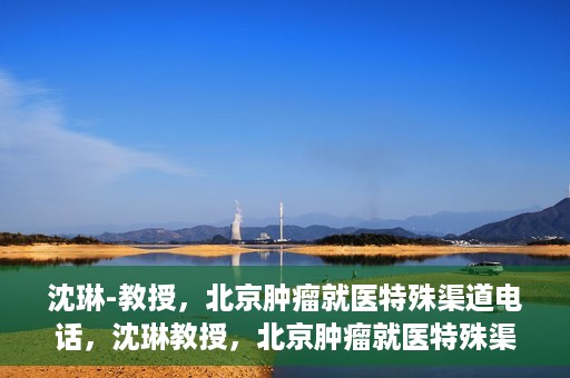 沈琳-教授，北京肿瘤就医特殊渠道电话，沈琳教授，北京肿瘤就医特殊渠道电话揭秘