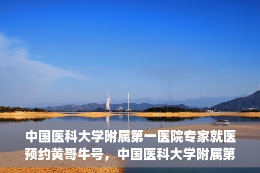 中国医科大学附属第一医院专家就医预约黄哥牛号，中国医科大学附属第一医院专家黄哥牛号预约就医攻略