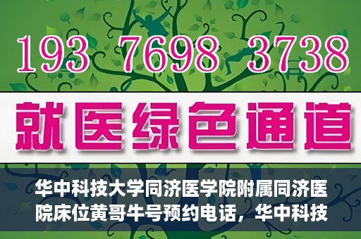 华中科技大学同济医学院附属同济医院床位黄哥牛号预约电话，华中科技大学同济医院床位预约及黄哥牛号咨询热线