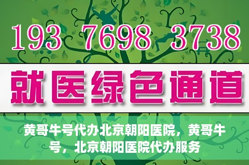 黄哥牛号代办北京朝阳医院，黄哥牛号，北京朝阳医院代办服务