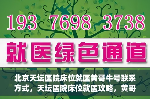 北京天坛医院床位就医黄哥牛号联系方式，天坛医院床位就医攻略，黄哥牛号联系方式揭秘