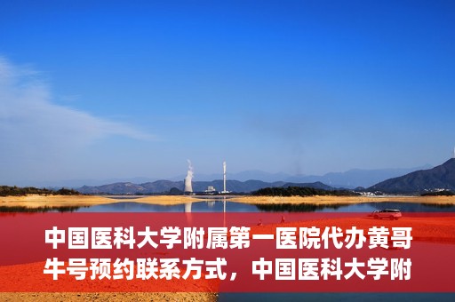 中国医科大学附属第一医院代办黄哥牛号预约联系方式，中国医科大学附属第一医院预约挂号联系方式，黄哥牛号预约服务解析
