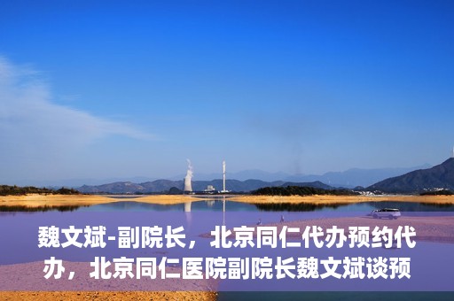 魏文斌-副院长，北京同仁代办预约代办，北京同仁医院副院长魏文斌谈预约代办服务