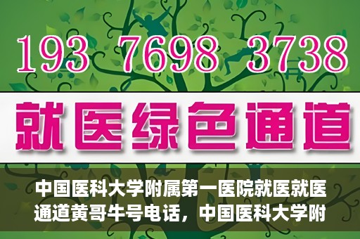 中国医科大学附属第一医院就医就医通道黄哥牛号电话，中国医科大学附属第一医院就医通道解析，黄哥牛号电话及其服务详解