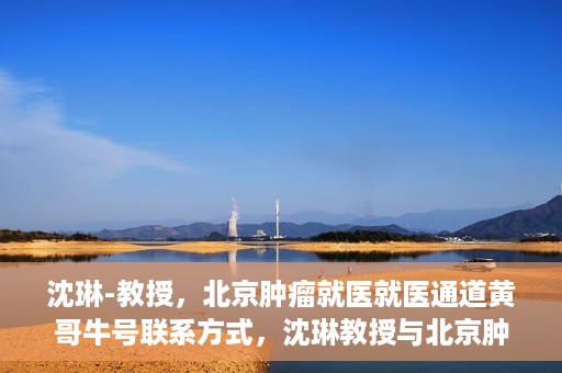 沈琳-教授，北京肿瘤就医就医通道黄哥牛号联系方式，沈琳教授与北京肿瘤就医通道，黄哥牛号联系方式揭秘