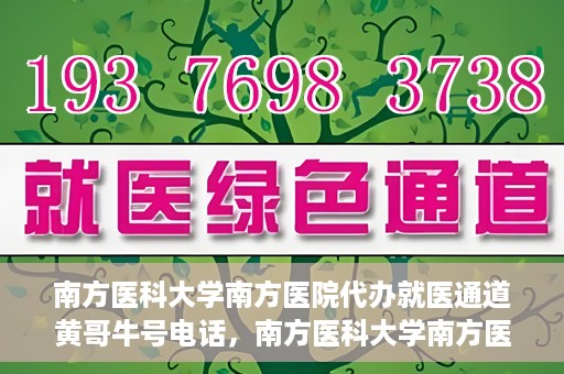南方医科大学南方医院代办就医通道黄哥牛号电话，南方医科大学南方医院就医通道代办服务揭秘，黄哥牛号电话背后的故事