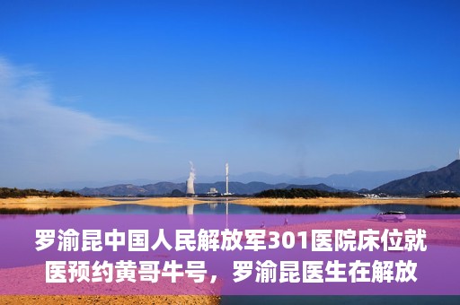 罗渝昆中国人民解放军301医院床位就医预约黄哥牛号，罗渝昆医生在解放军301医院的床位预约就医攻略，黄哥就医牛号助你轻松预约