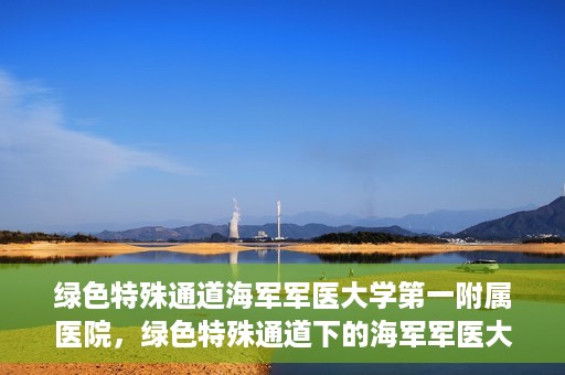 绿色特殊通道海军军医大学第一附属医院，绿色特殊通道下的海军军医大学第一附属医院探索与实践