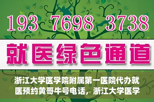 浙江大学医学院附属第一医院代办就医预约黄哥牛号电话，浙江大学医学院附属第一医院就医预约代办服务，黄哥牛号预约电话详解