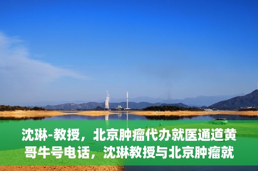 沈琳-教授，北京肿瘤代办就医通道黄哥牛号电话，沈琳教授与北京肿瘤就医通道，黄哥牛号电话背后的故事