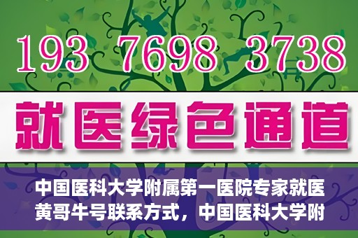 中国医科大学附属第一医院专家就医黄哥牛号联系方式，中国医科大学附属第一医院专家黄哥牛号联系方式及就医指南