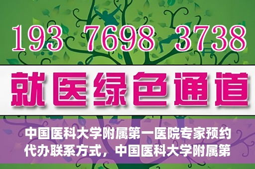 中国医科大学附属第一医院专家预约代办联系方式，中国医科大学附属第一医院专家预约挂号代办服务联系方式解析