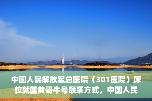 中国人民解放军总医院（301医院）床位就医黄哥牛号联系方式，中国人民解放军总医院（301医院）床位就医信息及联系方式解析，黄哥牛号就医指南